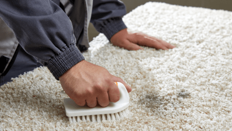 Professional Rug Cleaning Bentleigh