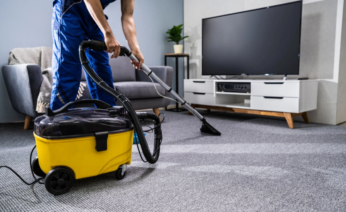 Extract Rug Cleaning Bentleigh Contact Office